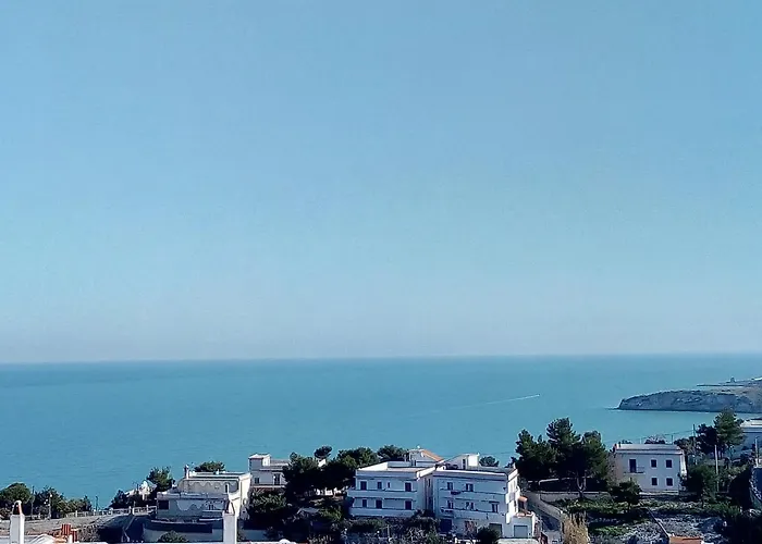 Vela Azzurra
